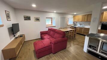 A compact living space with a sofa, a dining table, a kitchen area, and a television.