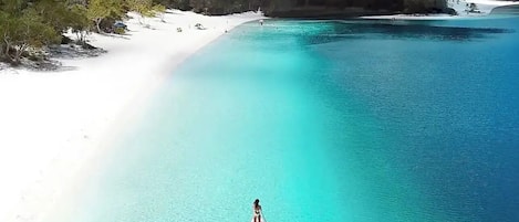 海滩