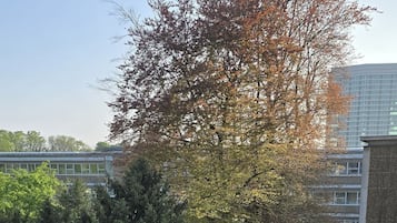 Vista da propriedade