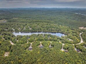 Aerial view - Lake, Spa and Pool Table | Le Gaia (Chertsey)