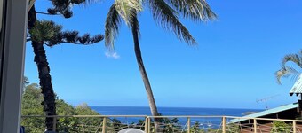 Logement neuf avec vue mer et piscine  Canopée