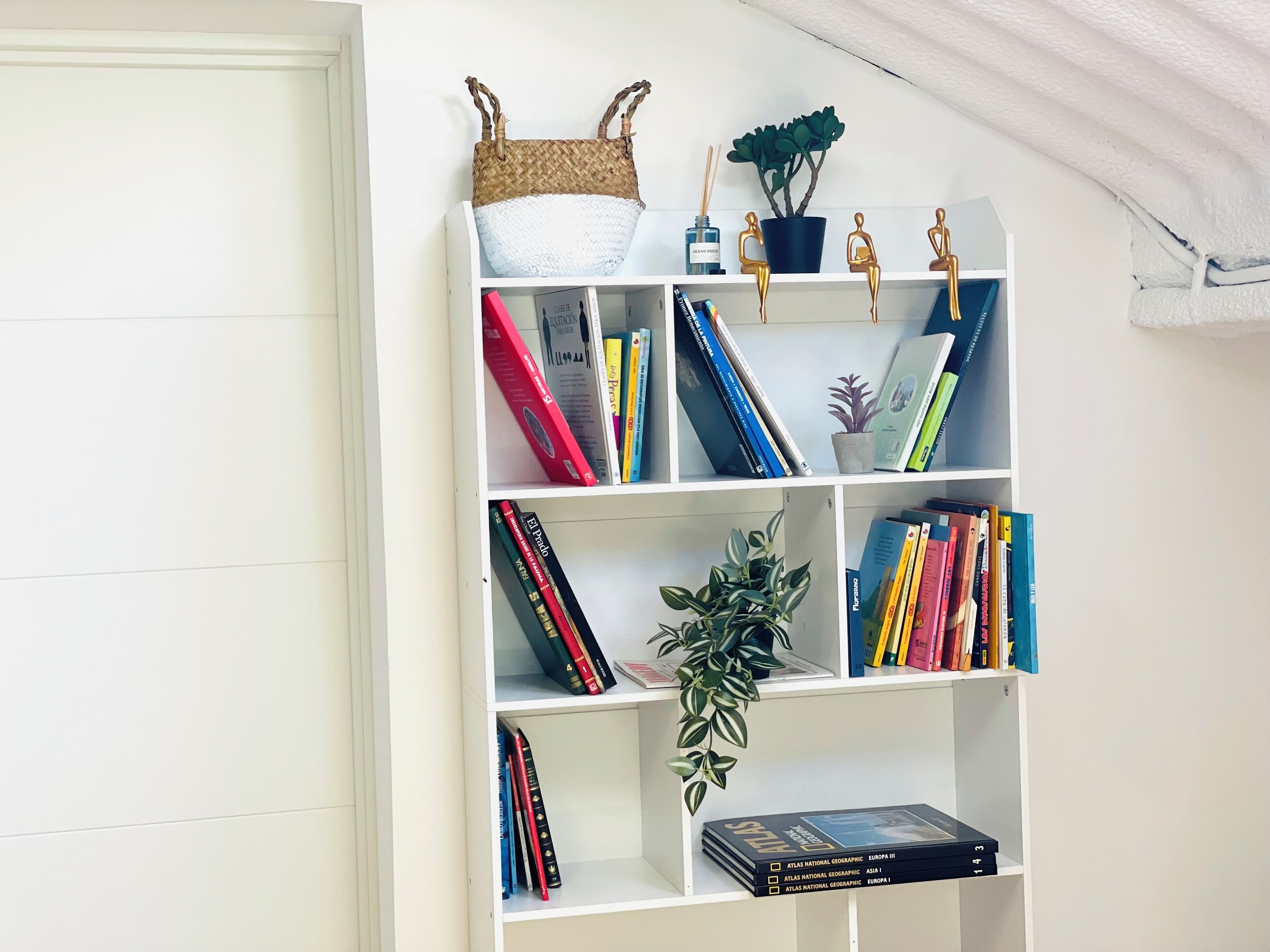 Ein Bücherregal mit verschiedenen Büchern, Dekoration und einer kleinen Pflanze.