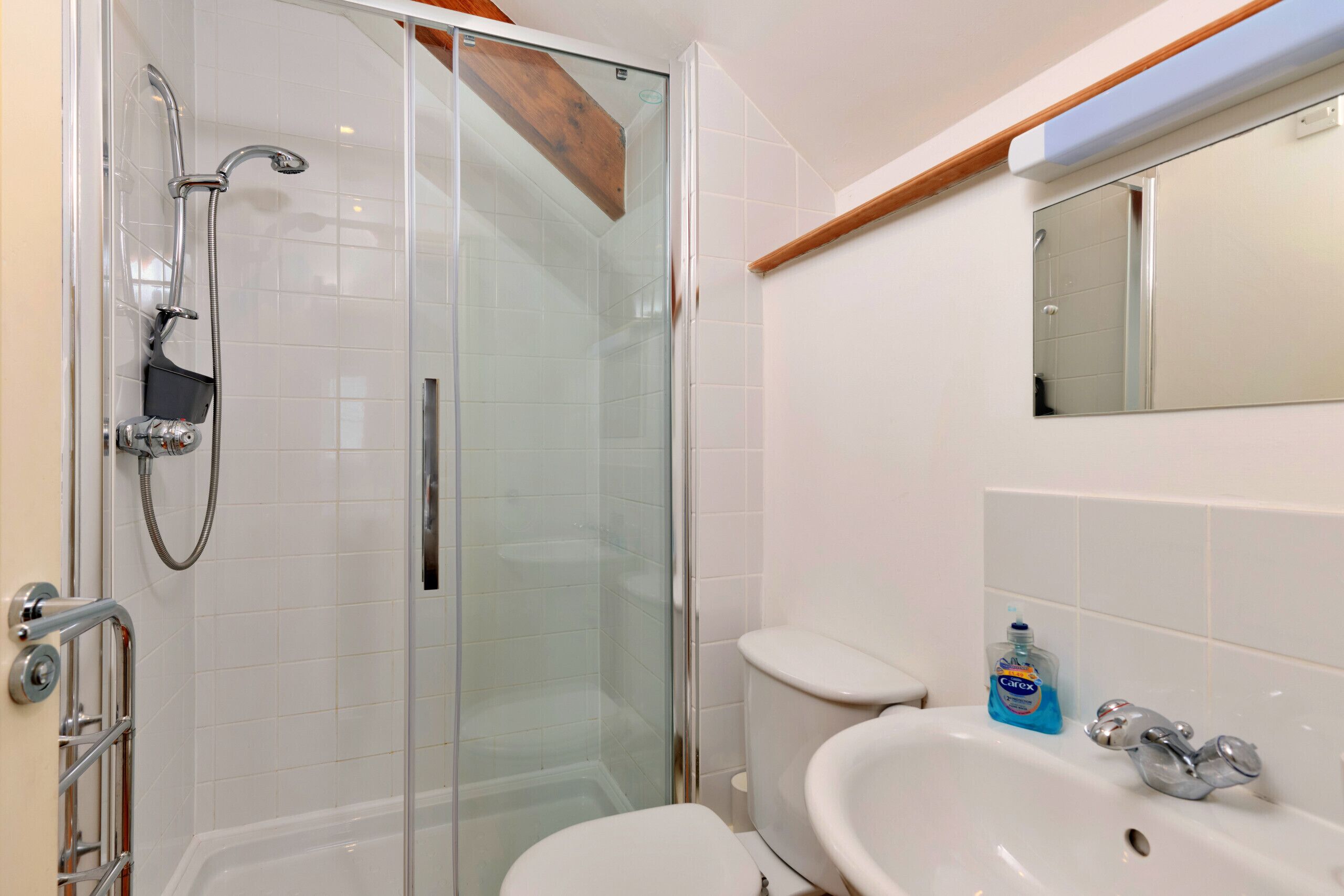 A bathroom with a glass-enclosed shower, a white toilet, and a sink with a mirror above it.