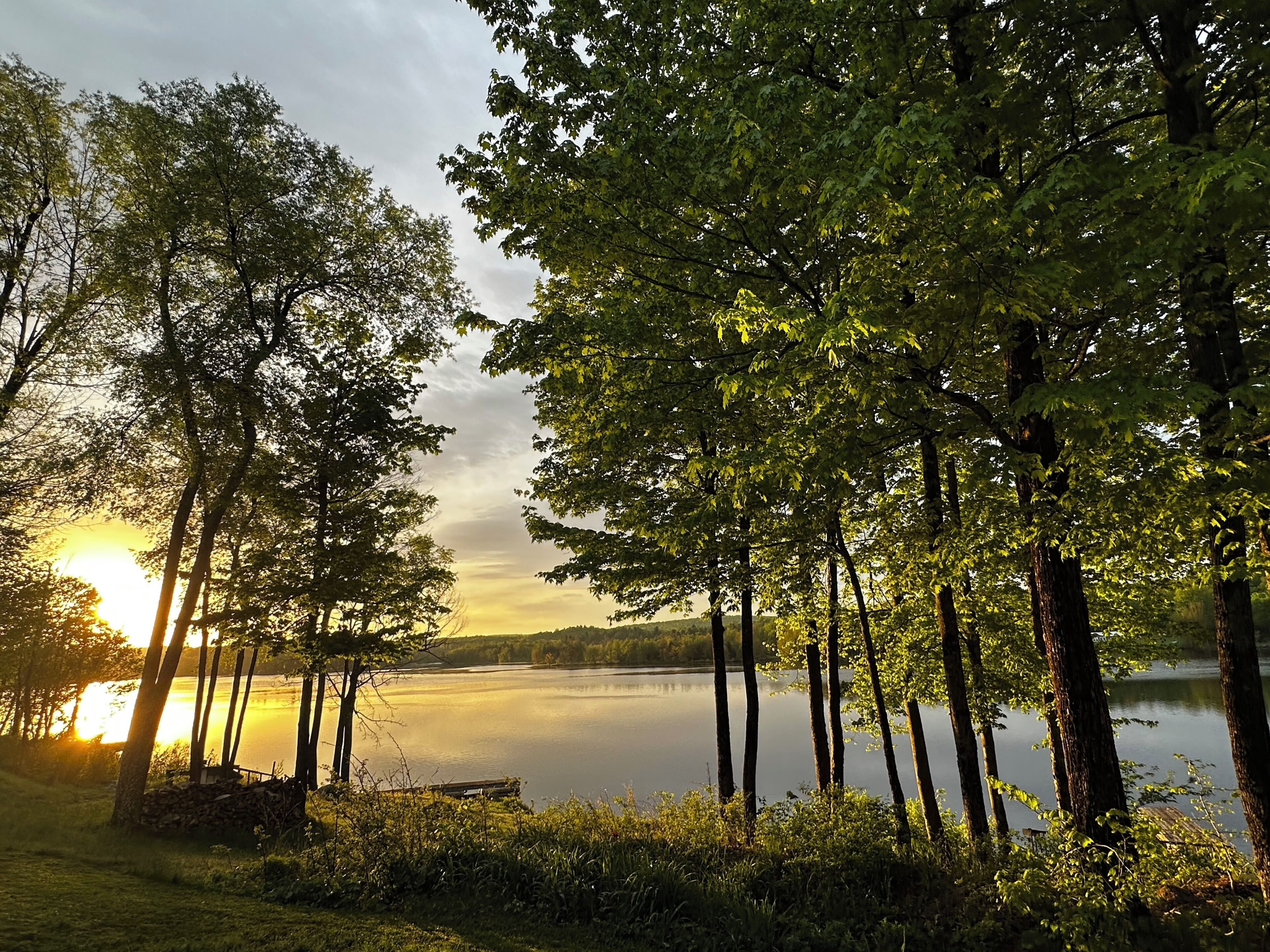 Un paysage naturel composé d’arbres et d’une étendue d’eau.