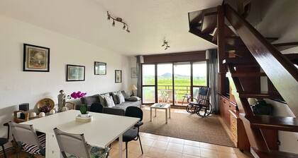 La Cometa de Ajo - 12016