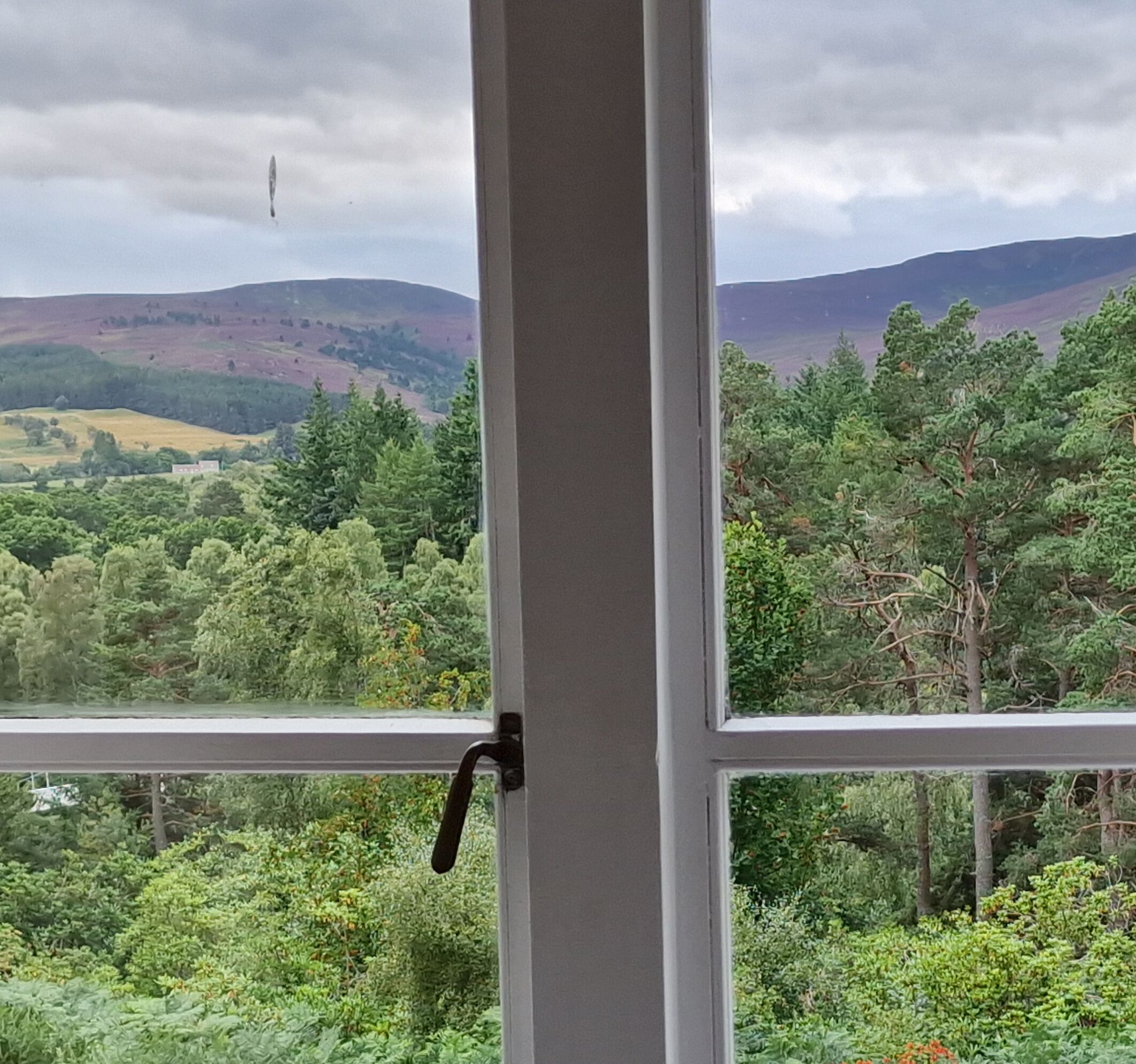 Habitación doble tradicional, 1 cama Queen size, vista a la montaña | Escritorio, espacio para trabajar con laptop y insonorización 