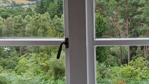 Une vue à travers une fenêtre dotée d’un cadre blanc et d’une poignée noire, donnant sur un paysage vallonné, parsemé d’arbres, avec un bâtiment visible au loin.