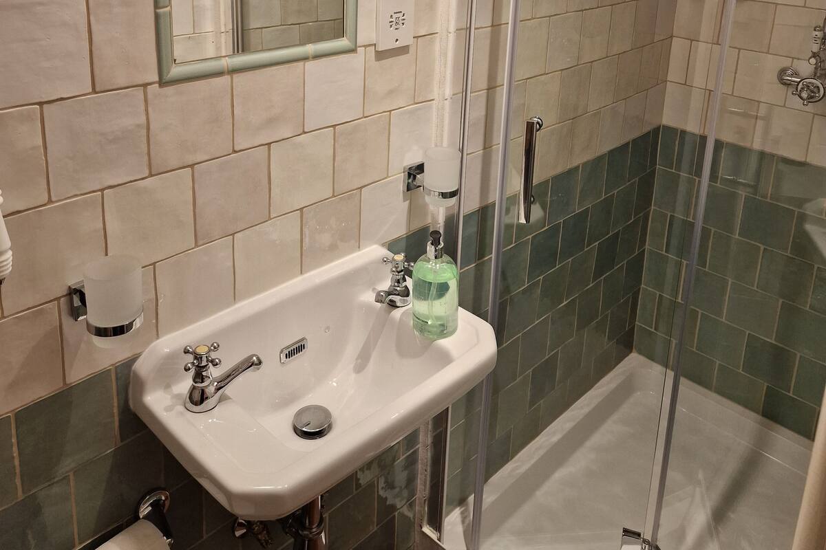 A bathroom with a sink, mirror, and shower.