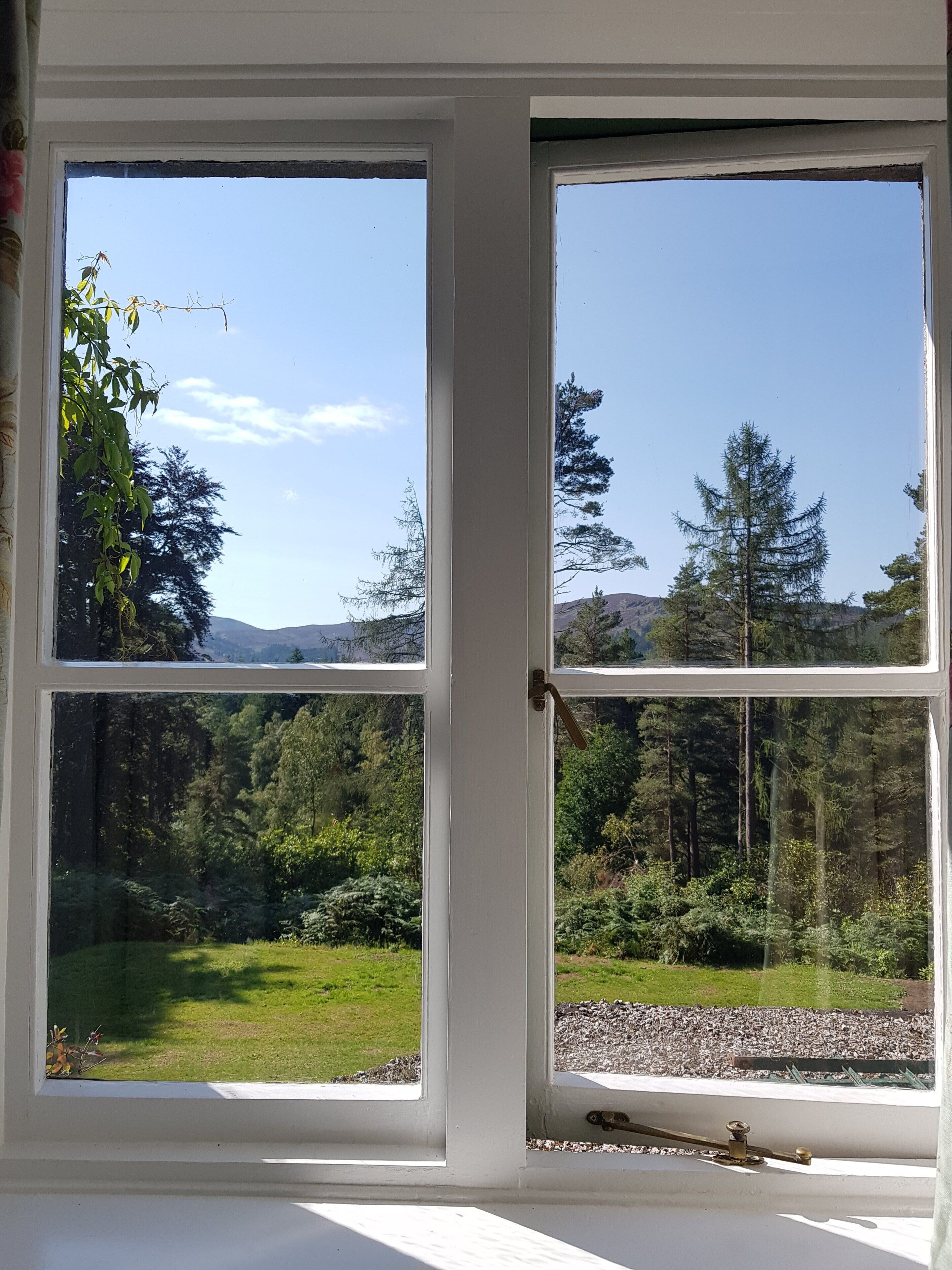 Una ventana con vistas a un bosque y un cielo despejado.