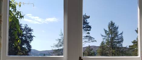 Una ventana con vistas a un bosque y un cielo despejado.