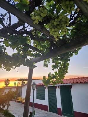 Property grounds - Quinta Kaleidoscope Apartment (Vendas Novas)