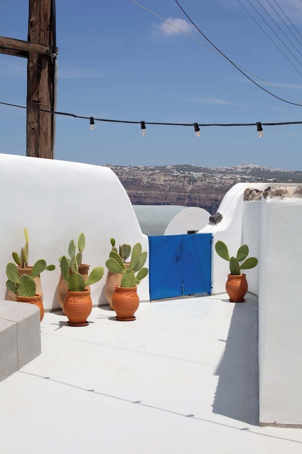 Une terrasse sur le toit, avec des murs blancs, une porte bleue et des cactus en pot.