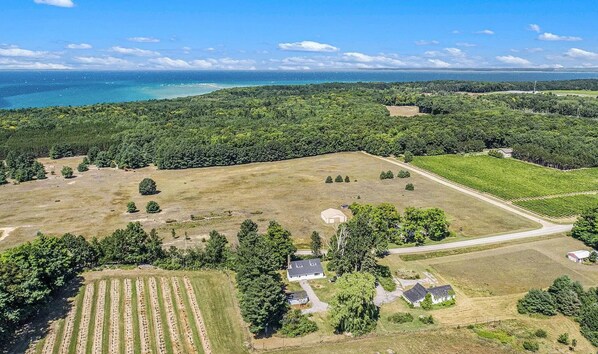 An aerial view of a rural property with fields, a vineyard, and a small house surrounded by trees. - Chic Farmhouse retreat: Woods, Water, Wine & Wellness (Traverse City)