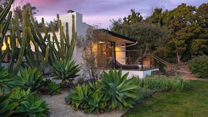 A modern house with a white exterior, surrounded by a variety of cacti and succulents.