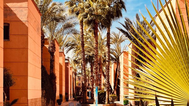 حمام سباحة
