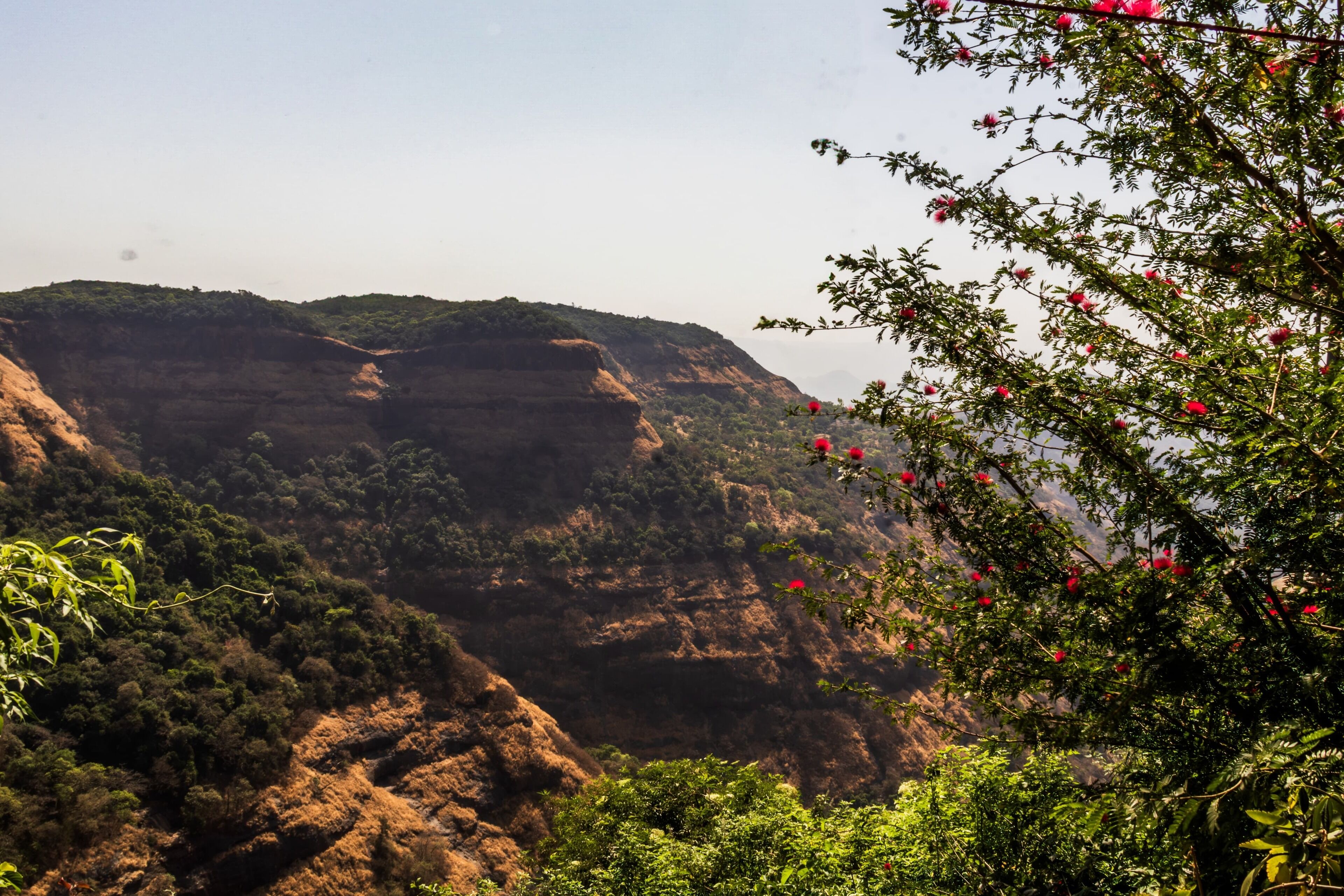 A mountainous landscape with dense greenery and red flowers in the foreground.