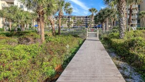 A pathway leading to a multi-story building with balconies, surrounded by palm trees and greenery. - MyStay at 301 Shorewood - Oceanfront Views in S. Forest Beach + Beach Gear! (Hilton Head Island)