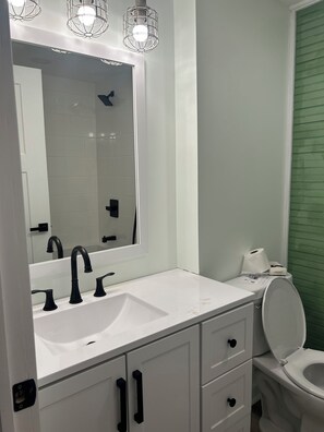 Shower, towels, toilet paper