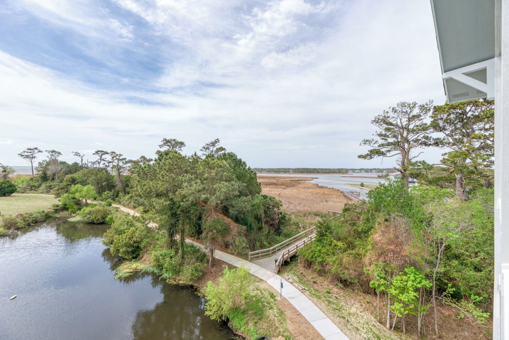 A riverside view with a wooden walkway, trees, and a distant body of water.