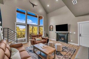 Smart TV, fireplace, books