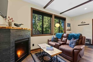 Smart TV, fireplace, books