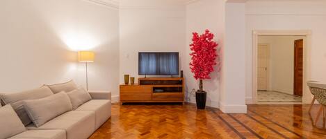 Fernseher, Arbeitsbereiche