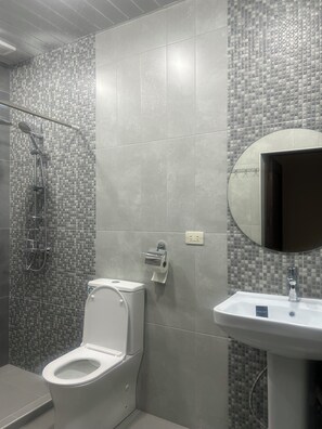 Combined shower/bathtub, free toiletries, hair dryer, towels