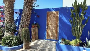 A courtyard with a blue wall, a wooden door, and various potted plants.