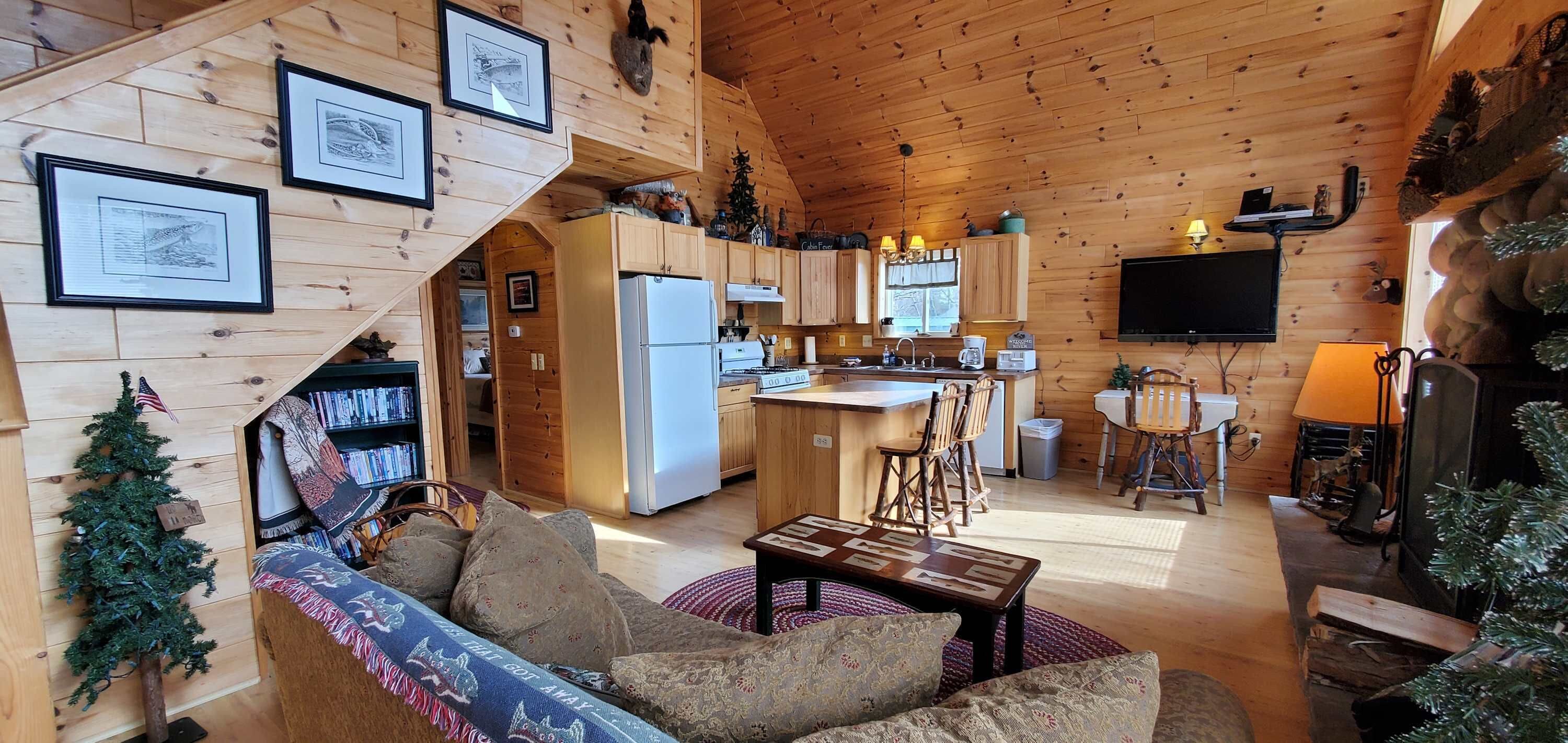 電視、壁爐、DVD 播放機