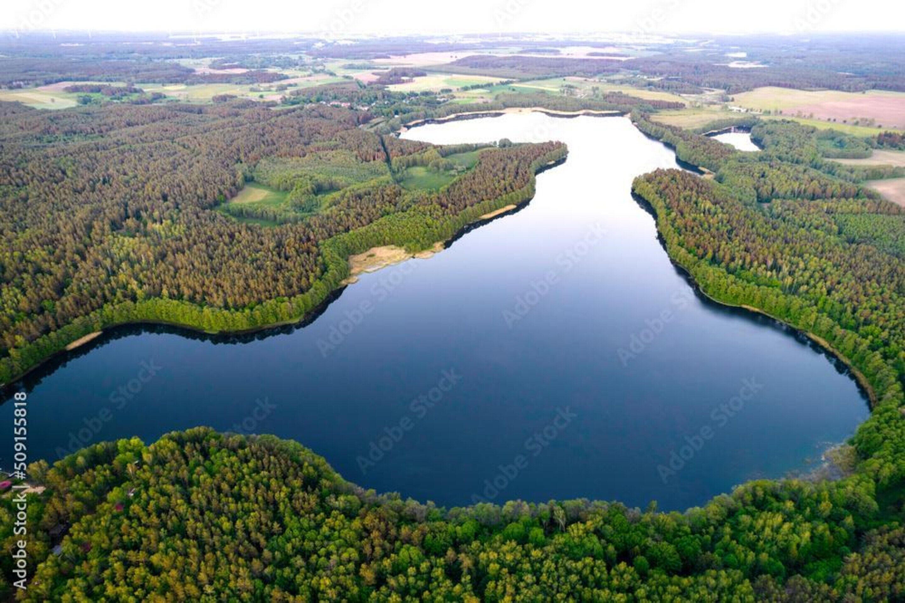 Una vista aerea di un lago circondato da fitti boschi.