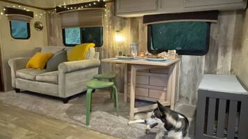 Smart TV, fireplace, books, stereo