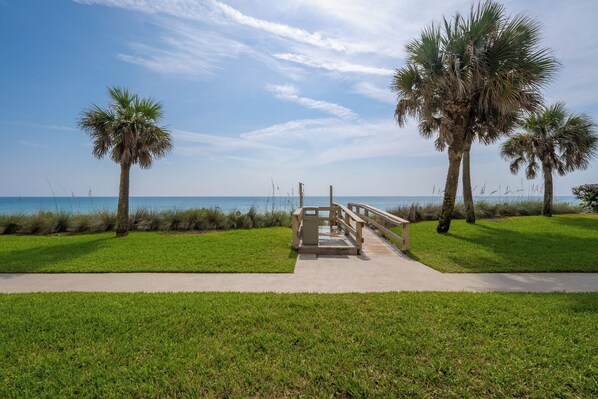 A pathway leading to a beach with palm trees and a clear sky.