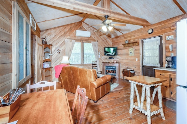 Smart TV, fireplace, books