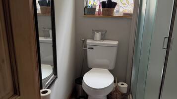 Shower, towels, soap, toilet paper