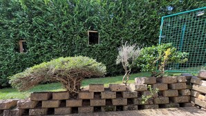 A wooden deck with a brick wall and a green fence in the background. - FeWo meisteroffice in Sackgässle, ground floor apartment, terrace, kitchen, near Ulm (Dornstadt)