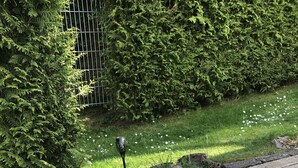 A wooden deck with a stone border, surrounded by a garden with a hedge and a metal fence. - FeWo meisteroffice in Sackgässle, ground floor apartment, terrace, kitchen, near Ulm (Dornstadt)