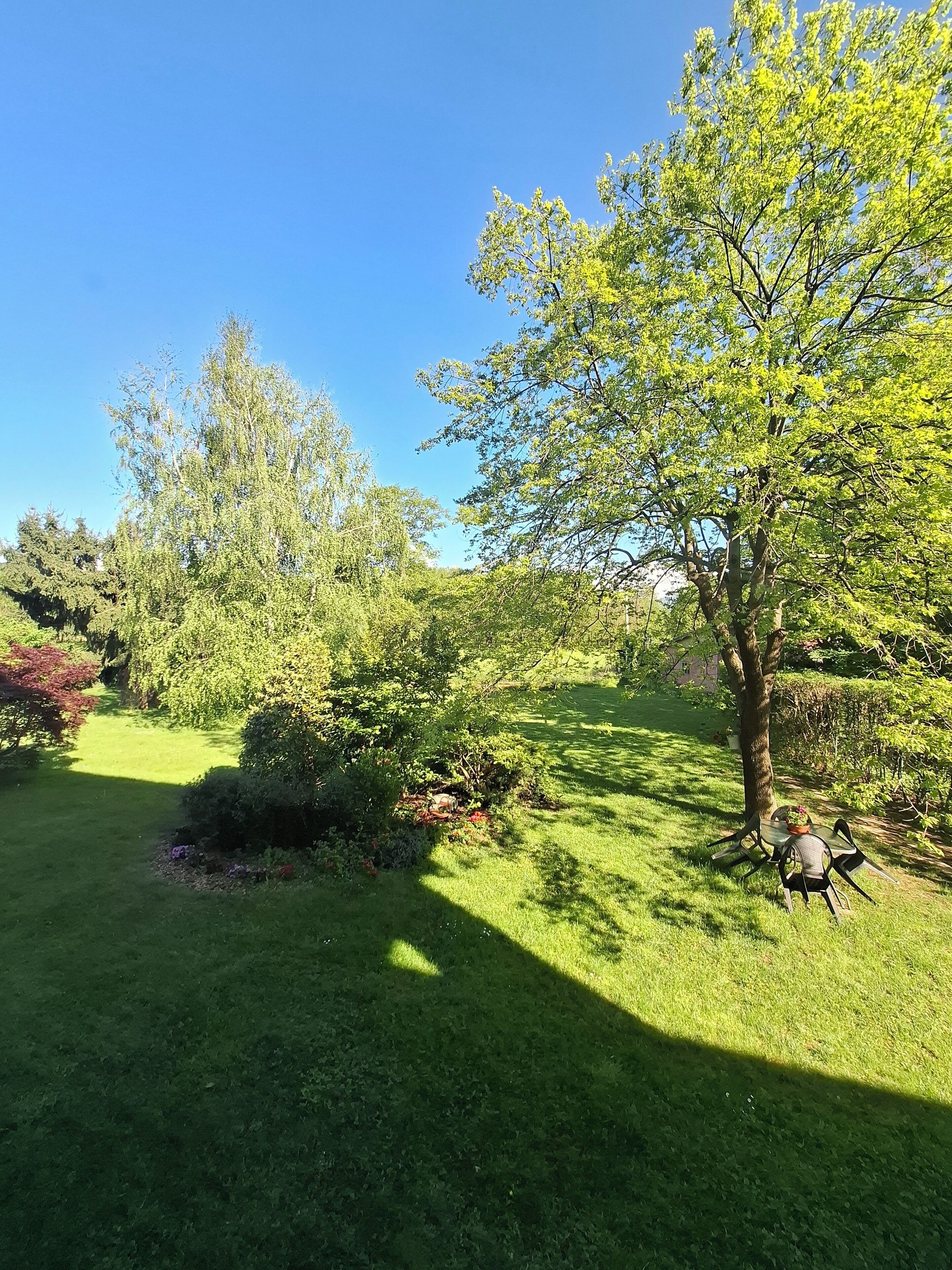 Een verzorgde tuin met diverse bomen en struiken, een gazon en een tafel met stoelen.