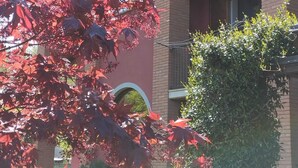 A multi-story building with a red facade, a balcony with metal railings, and a tree with red leaves in the foreground. - B&B Rubino (Cervasca)