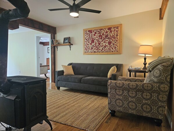 Una sala de estar con un sofá gris oscuro, un sillón estampado y una estufa negra. Se aprecia un suelo de madera y un tapete con diseño.
