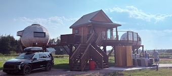 Terra Experience