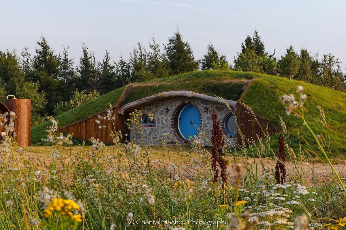 Ein Hobbit-Haus mit grasbewachsenem Dach, Steinmauern und blauen Türen, umgeben von einem Feld mit Wildblumen und Bäumen.