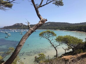 Beach - On the peninsula of Saint Mandrier var(83) seasonal rentals (Saint-Mandrier-sur-Mer)