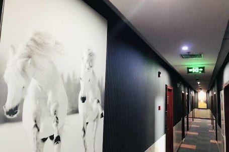 Interior. Junyi Hotel (Shanghai Chongming District Xue Gong Road )