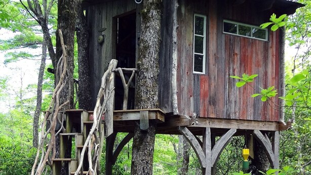 A rustic treehouse with a wooden staircase and a small platform.