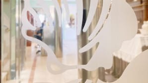 Un intérieur moderne agrémenté d’une cloison en verre et d’une sculpture décorative en métal blanc.