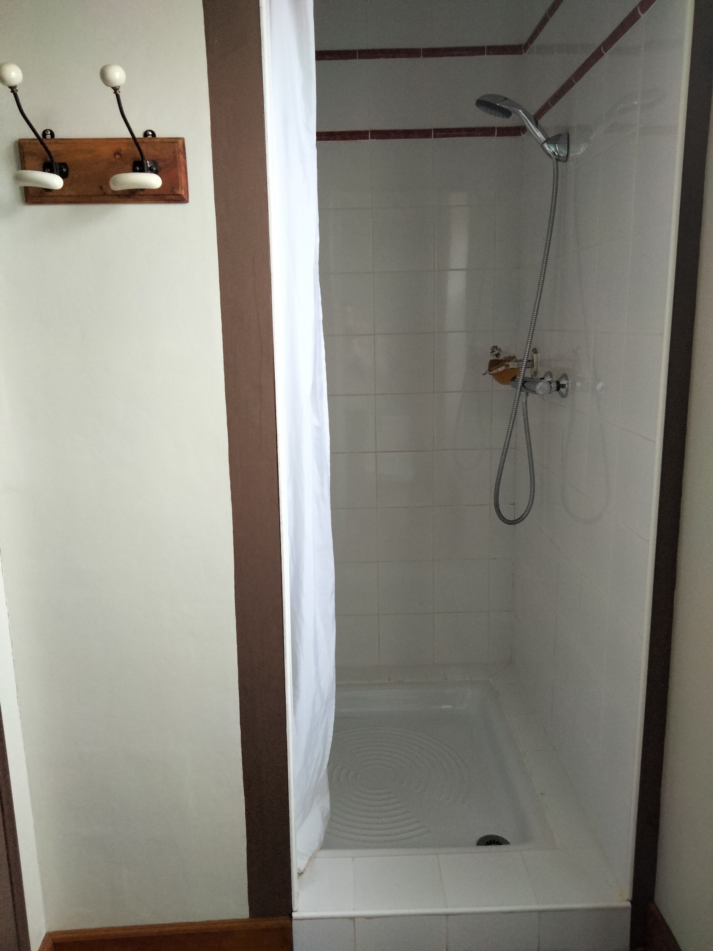 Een douche met een handdouche en een wandmengkraan.