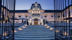 A grand entrance with a staircase leading to a building with a classical architectural style.