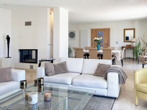 TV, fireplace, ping pong, books