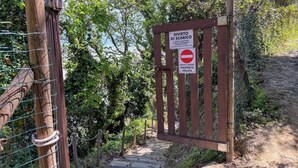 Ein hölzernes Tor mit einem Verbotsschild, ein Metallgitter und ein Feldweg, der in einen bewaldeten Bereich führt.