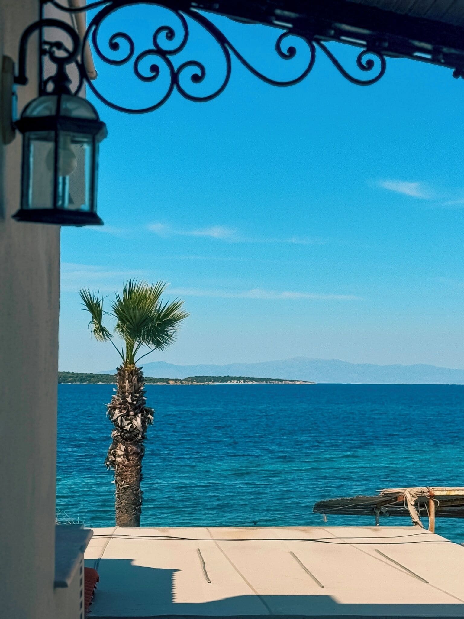 Vista de una zona costera con una palmera y un mar azul cristalino.